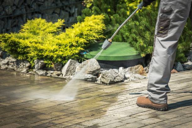 Best Animal Enclosure Cleaning  in Sunbury, PA